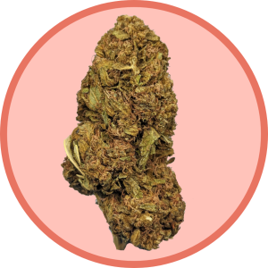 Budget Buds THCa Flower