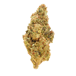 Glitter Bomb • Indica Hybrid • Greenhouse Flower • 28.27% THCa